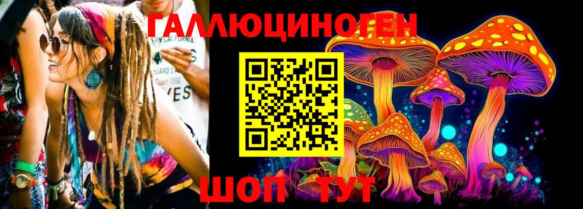 Псилоцибиновые грибы Magic Shrooms Углич
